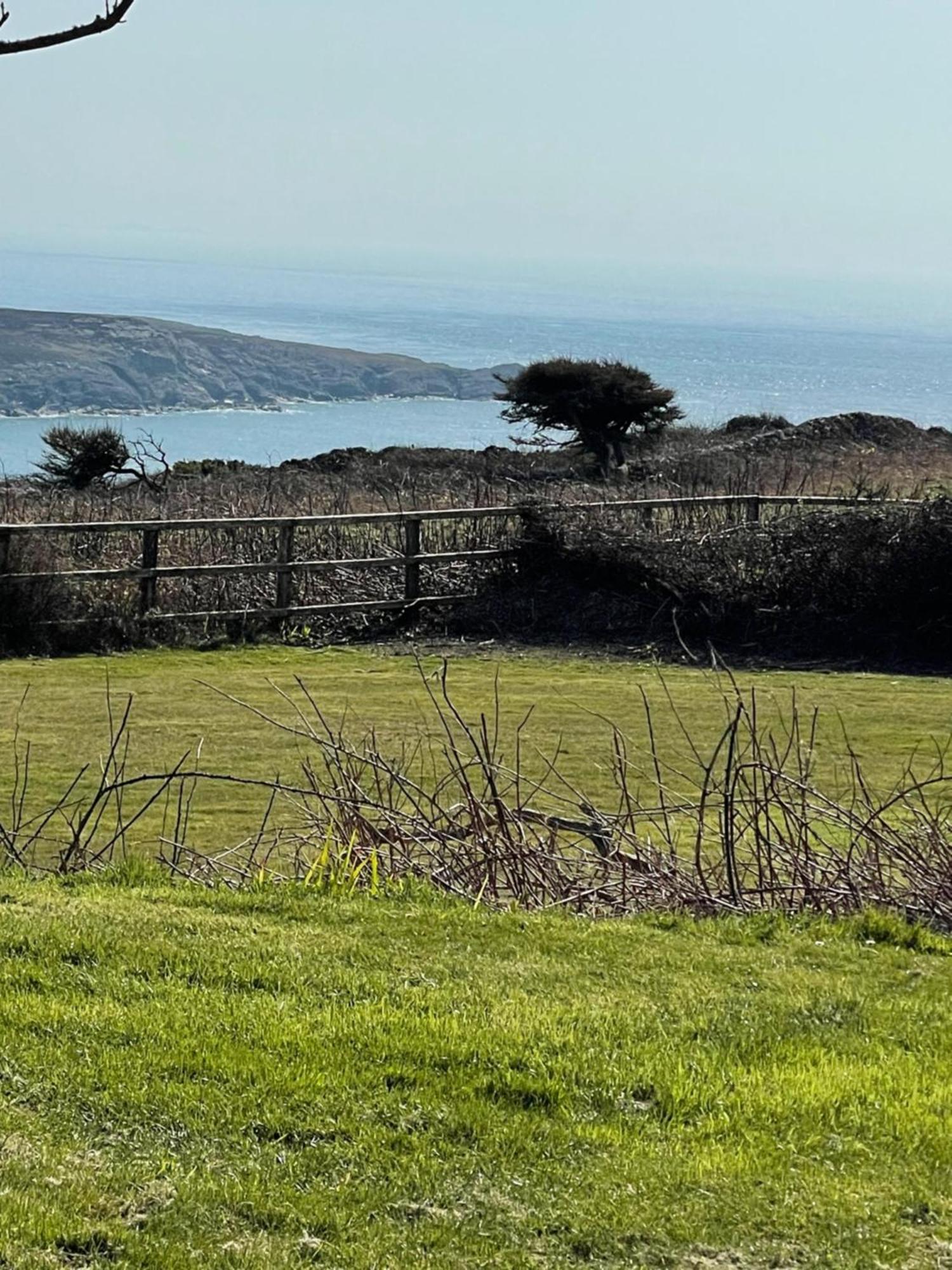Bed and Breakfast The Little Garden Hideaway With Stunning Sea Views And Garden Holyhead Exterior foto